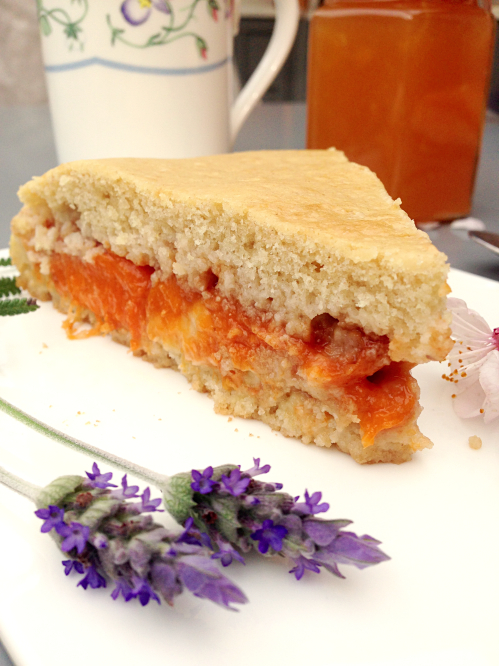 gâteau moelleux aux abricots et crème pâtissière vegan végétalien