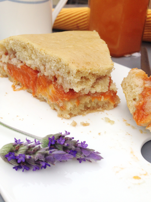 Gâteau moelleux aux abricots et crème pâtissière végétalien vegan