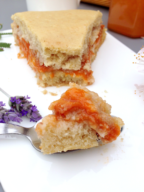 Gâteau moelleux aux abricots et crème pâtissière végétalien vegan