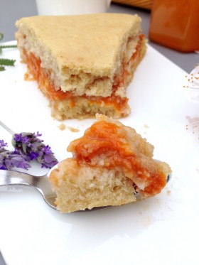 Gâteau moelleux aux abricots et crème pâtissière vegan végétalien